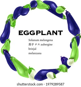 Vegetable circle, eggplants vector illustration. Text means 'eggplant' in sevral language.
