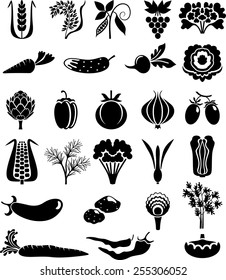Vegetable collection