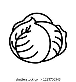 Vegetable collection - cabbage. Line icon of whole cabbage head. Vector Illustration 