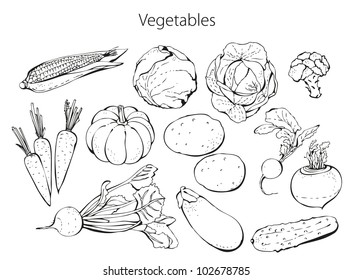 Vegetable collection isolated on a white background