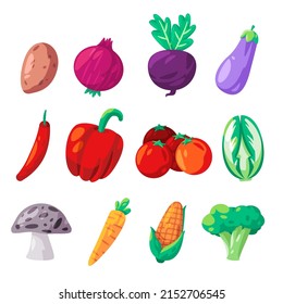 Vegetable collection set of icon illustration vector drawing colorful from chili beets eggplant brocoli and others