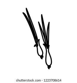 Vegetable collection - spring onion. Line icon of two green onions or scallions. Vector Illustration 