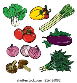 Conjunto de colores vegetal