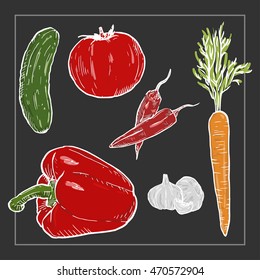 Vegetable colorful hand drawn set
