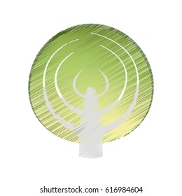 vegetable colorful icon image 