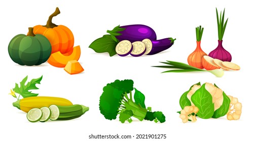 Vegetable composition, set of fresh eco products
