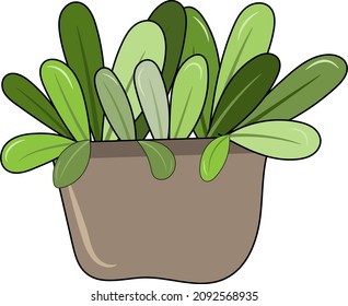 Vegetable Container - Illustration of your vegetable on container at home. Ready to harvest