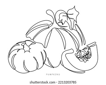 Vegetable continuous line art. Autumn festival and fall harvest concept. Pumpkin festival. Squash and pumpkin leaves. Abstract line art. Seeds grapes garlic turnips eggplants pears cranberries vector