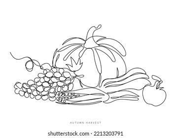 Vegetable continuous line art. Autumn festival and fall harvest concept. Pumpkin festival. Squash and pumpkin leaves. Abstract line art. Seeds grapes garlic turnips eggplants pears cranberries vector