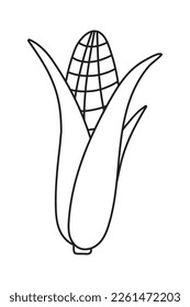 vegetable corn cob doodle flat illustration isolated on white background. Vector graphics design