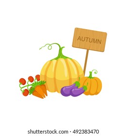 Vegetable Crops As Autumn Attribute