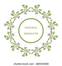 Vegetable Decorative Frame with Turnip. Natural Products Design.