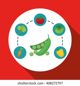 Vegetable design over white background, vector illustration
