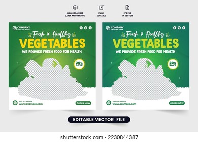 Vegetable discount template design with green and yellow colors. Modern vegetable business promotional template vector with abstract shapes. Organic and healthy food advertisement poster vector.