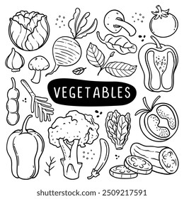 Conjunto de dibujo de doodle vegetal. Una variedad diversa de verduras, incluyendo repollo, remolacha, hojas de espinaca y más. Perfecto para promover opciones de estilo de vida saludables. Dibujado a mano de arte de línea negra 