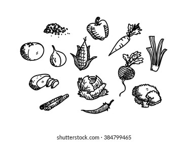Vegetable Doodle Icon Set, a hand drawn vector doodle illustration of vegetable icon set.