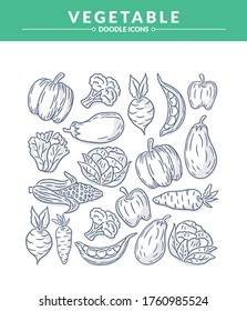 Vegetable doodle Icon set, Trendy and lovely hand drawn style isolated on white background 