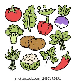 Vegetable Doodle Illustration, White isolated background