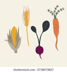 Rabiscos vegetais: maçaroca de milho, caule de trigo, beterraba e cenoura. Ilustração vetorial, design plano