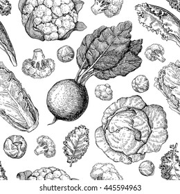 Vegetable drawing seamless vector pattern. Farm market products. Beetroot, cabbage, broccoli, cauliflower, lettuce, chinese cabbage. Detailed vegetarian food drawing.