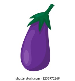 vegetable eggplant isolated illustration on white background