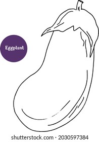 Vegetable eggplant vector illustration. Isolated object.