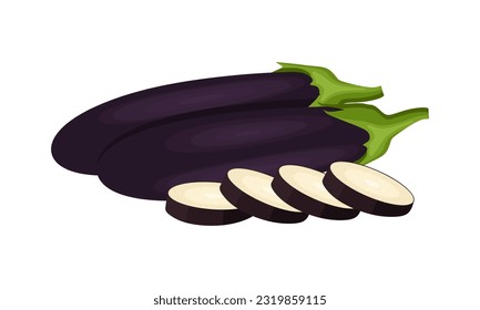 Vegetable eggplant whole and slices into circled isolated on white background. Eggplant illustration in flat cartoon style. Fresh aubergine Vector illustration