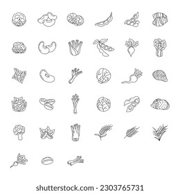 vegetable element doodle line set. Freehand drawing fruit and vegetables on a sheet of exercise book. Vector illustration. Set