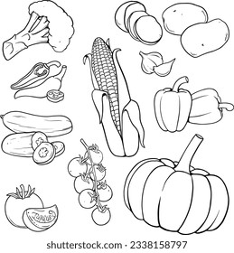 vegetable element doodle line set. Freehand drawing fruit and vegetables on a sheet of exercise book. Vector illustration. Set