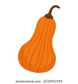 Vegetable elongated pumpkin. Vector. Autumn pumpkin symbol for Halloween or Thanksgiving. Flat design. Orange silhouette of pumpkin on white background.	