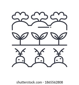 Vegetable farm icon, linear isolated illustration, thin line vector, web design sign, outline concept symbol with editable stroke on white background.