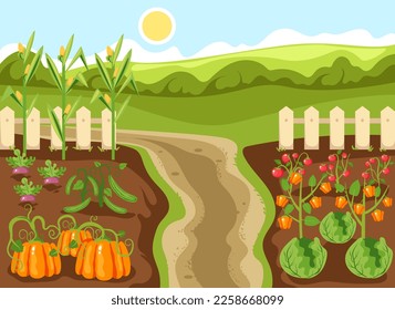 Vegetable farm illustration vector garden agriculture plantation plant farmland background concept. Vector graphic design illustration