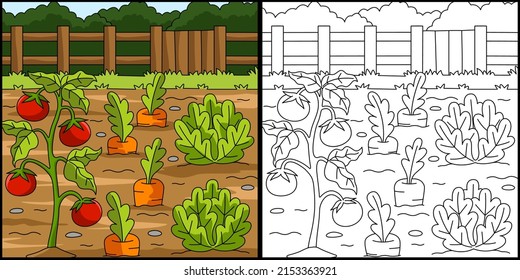 Vegetable Field Coloring Page Illustration