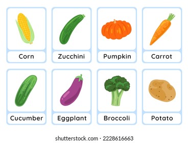 Vegetable flashcard collection for children education, printable montessori material
