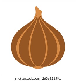 vegetable flat color design garlicky 