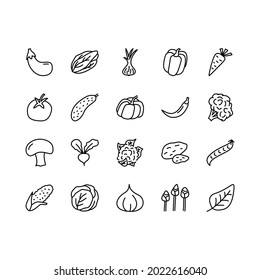 Vegetable flat line icons set. Salad ingredient, organic nutrition - tomato, cauliflower, salad, pepper, potato, corn, mushroom, broccoli. Simple flat vector illustration for web site or mobile app.