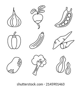Vegetable flat vector illustration in hand drawn style 