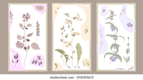 Vegetable and floral vector pastel composition from three parts on a gray background. Backgrounds for the phone. Herbarium of arugula, red basil rosemary. Vegetable linear abstraction in vintage style