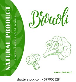 Vegetable food banner. Broccoli sketch. Organic food poster. Vector illustration