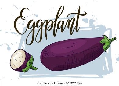Vegetable food banner. Eggplant sketch Organic food poster. Vector illustration