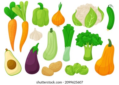 Vegetable food. Cartoon organic vegan products, carrots, peppers, onions, zucchini, eggplant, potatoes, cucumber, avocado. Vector isolated set
