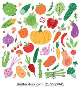 Vegetable food collection, avocado, tomato, pepper icons, vector doodle illustration of vegetable garden products, isolated colored clipart on white background, organic vegetarian eating, farm food.