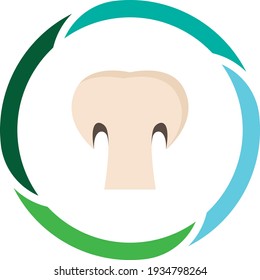 vegetable food mushrooms or mushrooms, champignon. white background vector image