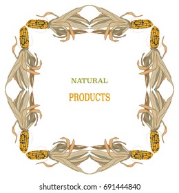 Vegetable Frame with corn. Natural food.