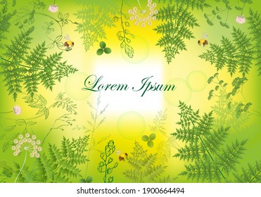 Vegetable frame. A set of wildflowers. Cereals, fern, clover,  yarrow, shepherd's bag, herbs and bees on a green-yellow background.