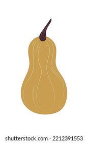 vegetable fresh pumpkin icon isolated