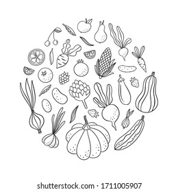 Vegetable and fruit doodle set. Vector food illustration round concept isolated on white background. Hand drawn healthy eating graphic print