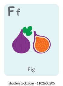 Vegetable and fruit English alphabet. F letter. Fig vector illustration.