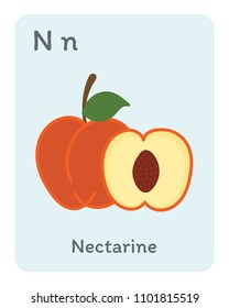 Vegetable and fruit english alphabet. N lette. Ncetarine vector 