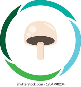 vegetable or fruit food, edible mushrooms. white background vector image